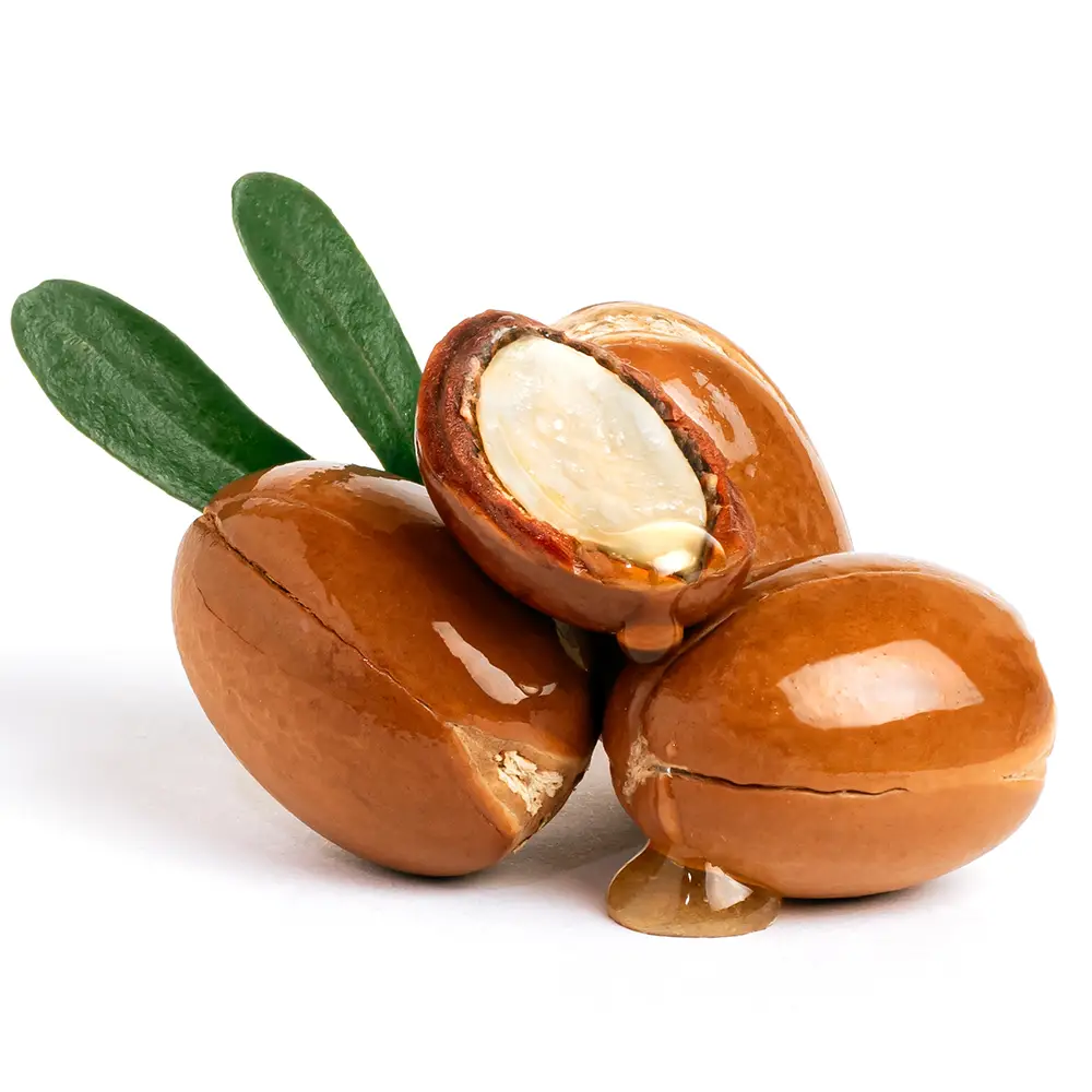 ARGAN YAĞI